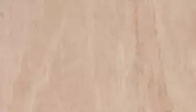 Образец № 1