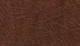 Образец № 4