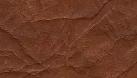 Образец № 10