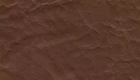 Образец № 15