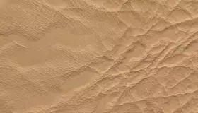 Образец № 26