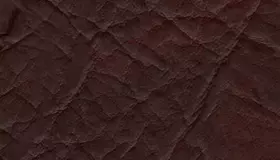 Образец № 32