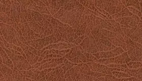 Образец № 33