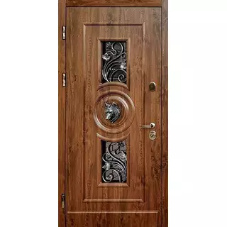 Металлическая дверь с ковкой